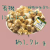 北海道壮瞥町　有機農場から　優しい味わいオーガニックにんにく　土つき