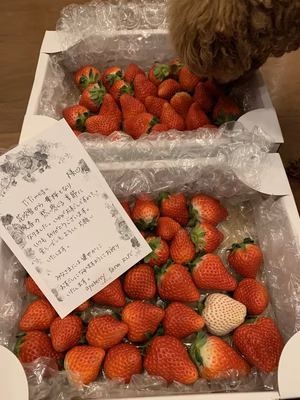 みんなの投稿の画像