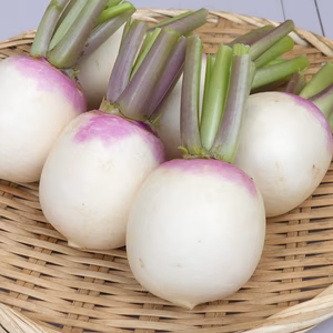 紫のグラデーションが美しいあやめ雪カブ‼︎