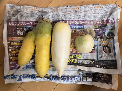 みんなの投稿の画像