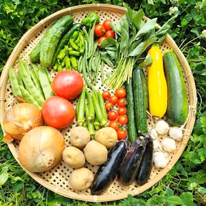 信州　夏野菜セット【8品目】