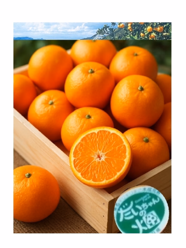 1月第6段【先行予約受付中】木なり完熟　本場有田みかん〈家庭用・訳あり増量〉