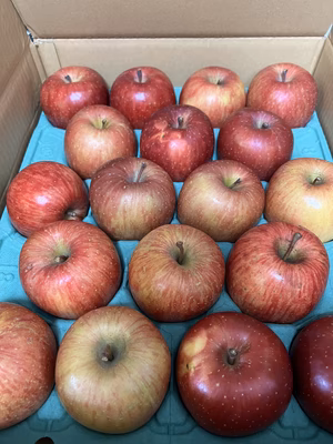 みんなの投稿の画像