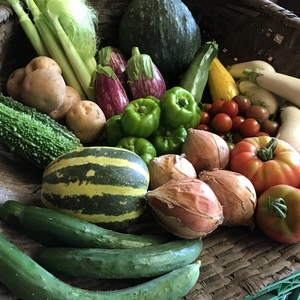 季節の野菜箱(1か月に2回)