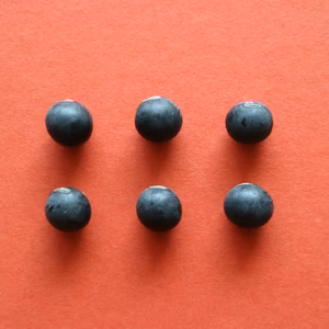 【お正月用　丹波黒大豆　２００g】本場丹波篠山産の丹波黒です