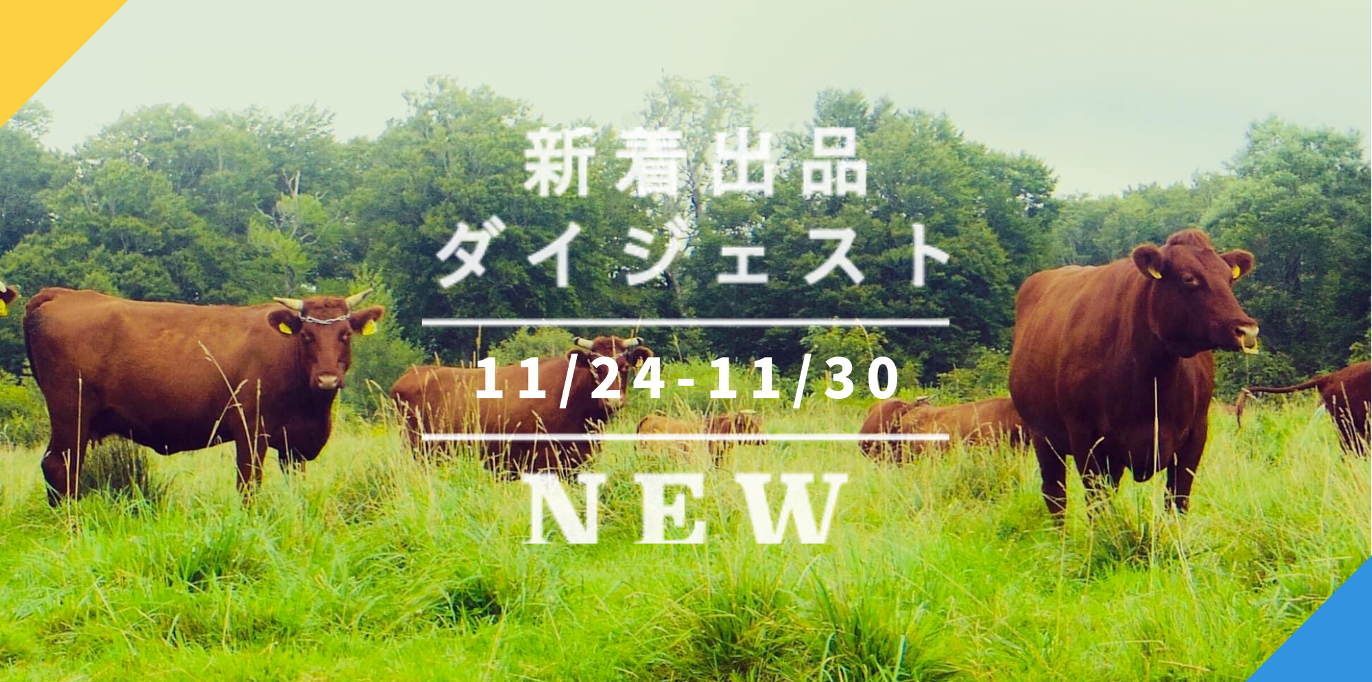 ☆シカの角!(24本プラス数本オマケ付)☆早い者勝！