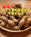 【送料一律】絶品！ 煎って食べる落花生 千葉半立ち（有機JAS)