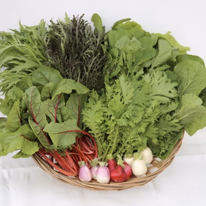 阿蘇蔵野菜7種盛りLセット