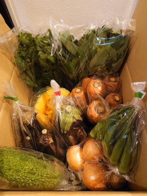 みんなの投稿の画像