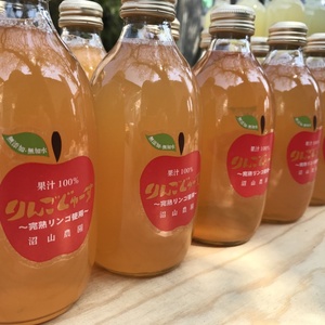【無添加・無加水】果汁100％ りんごジュース 300ml