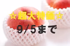 ☆超大特価☆　果汁したたる　桃の王様　川中島白桃　採れたて農家直送