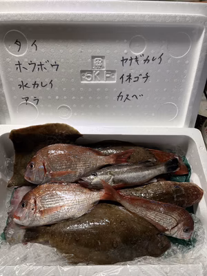 みんなの投稿の画像