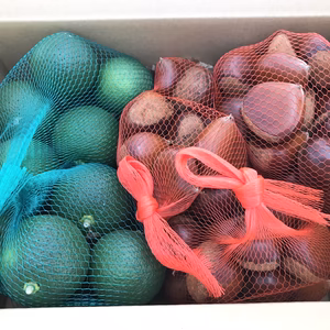 大分県産カボス1kgと栗1.5kg