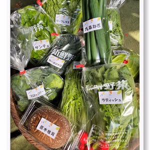 ★お二～三人様用★お野菜詰め合せセット