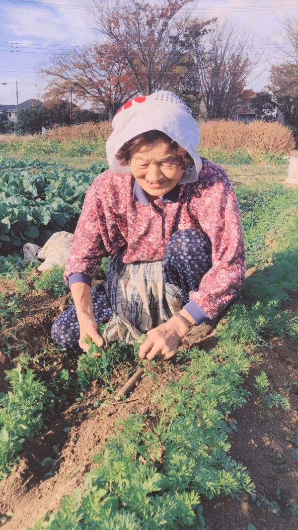 子供に食べさせたい野菜【TＸ南流山 現地受渡し❗】 ばぁばのモノスゴイ野菜５品目