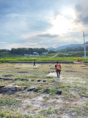 みんなの投稿の画像