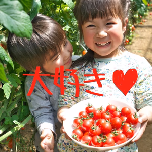 【先着5名・20％off】　あつトマサンタからのプレゼント♪