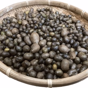 【数量限定】桑原農園 自然薯のむかご (熊本県産)