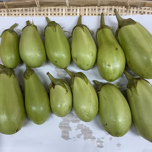 ★奈良県宇陀産の【無農薬】青ナス 3.0～3.1kgくらい（大小混合12本程度）