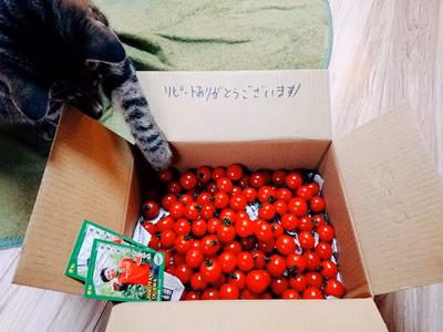 みんなの投稿の画像