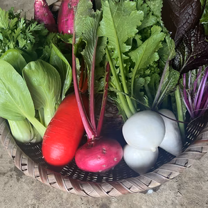 無肥料無農薬野菜セット