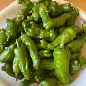 鈴木清友農園　暑さに負けるな！　夏野菜詰め合わせ