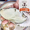 【20％OFF中】急速冷凍 生食用牡蠣★1-13kg 殻付き牡蠣 松島牡蠣屋