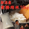 [新米]   新潟県産　業務用米10kg    (白米)   令和5年産