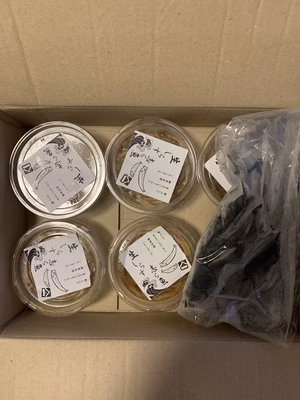 みんなの投稿の画像