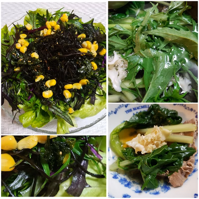 みんなの投稿の画像