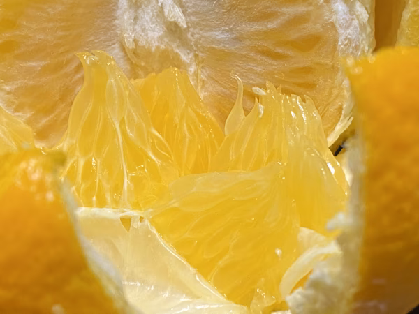 ビタミンCがたっぷり【訳あり紅はっさく　小箱】便利な皮剥き機ムッキーちゃん付き