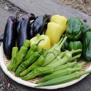【夏限定】うらまさ夏野菜セット