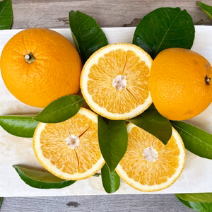 【蔵出し】超熟成 初恋の甘はっさく