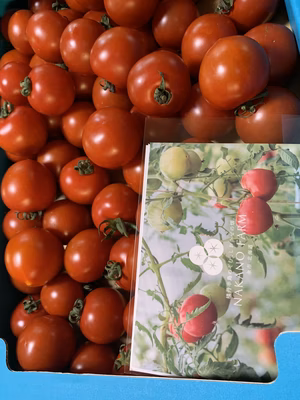 みんなの投稿の画像