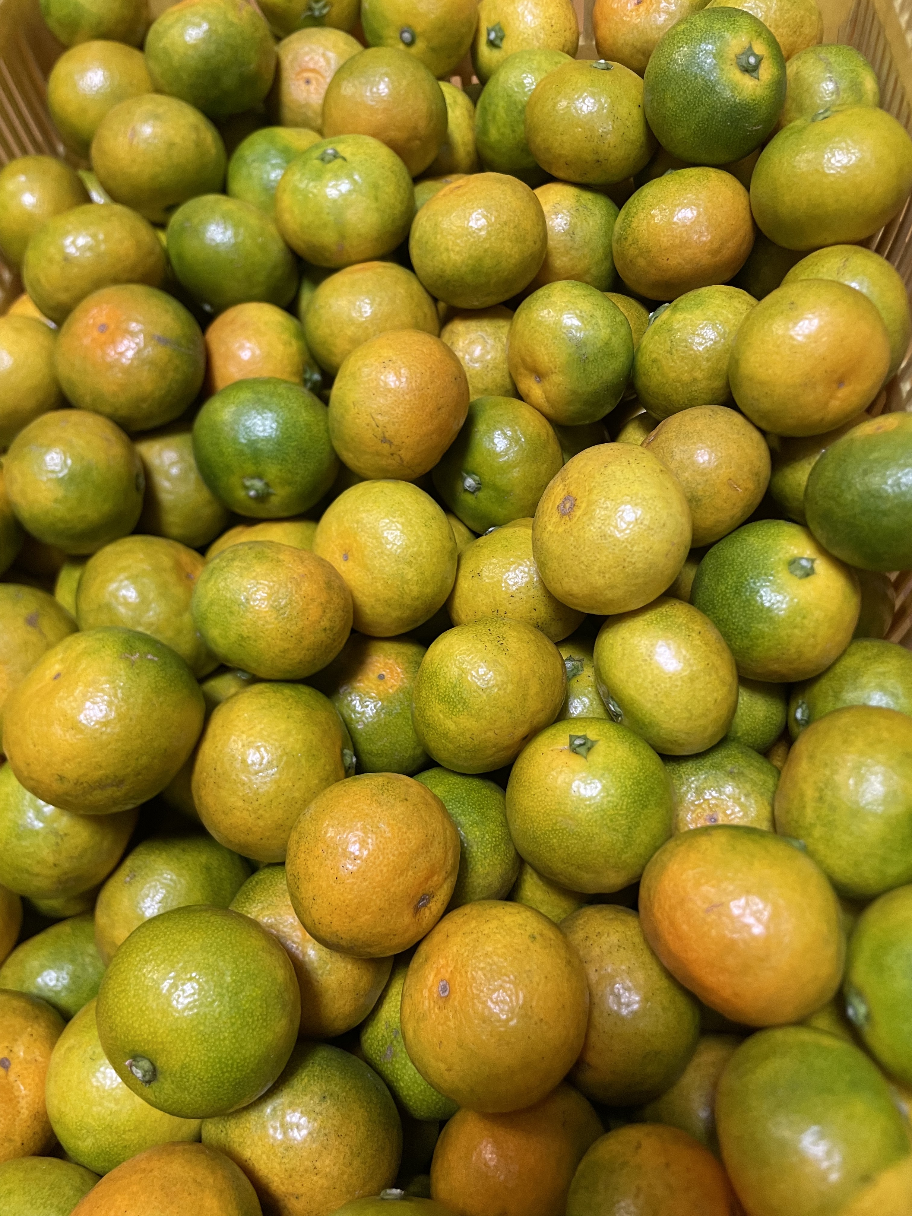 減農薬 小玉みかん お試し1キロ 有田みかん 2s3sサイズ 産地直送