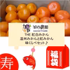 【福袋2023】THE 紅白みかん★新春特別セット