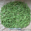【自然栽培】丹波黒枝豆 サヤのみ1kg A品★農薬・肥料不使用｜旬の兵庫県産