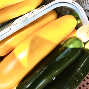 ズッキーニ　1.5kg程。 60サイズ段ボールに