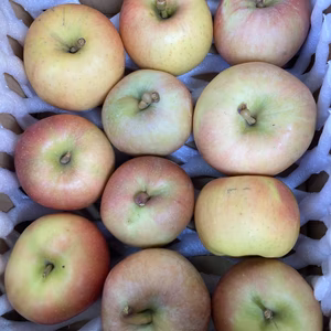 超遅もぎ蜜入微妙な葉取らずこうとく約1.8キロ以上10-14玉入