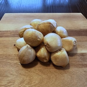 今季最終】無臭系ジャンボニンニク【１ｋｇ】