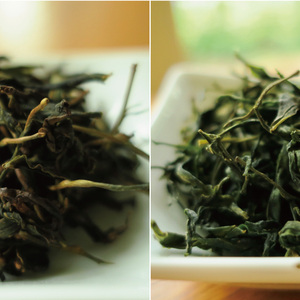 【新茶できました！】茶農家の手づくり茶　緑茶＋ほうじ茶【一番茶】