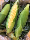 朝採れ❗️おひさまからの恵味☆スイートコーン