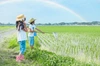 【GOTO生産現場】石巻で農作業体験＆ピザ作り体験