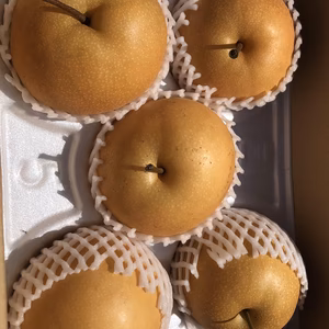 訳あり梨　約2キロ(4～7玉)豊水梨又は秋月梨