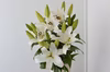 10/21(金）発送　新潟県産ユリ切り花白系 ※北海道・沖縄県配送不可※