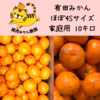 愛情たっぷりで育った有田みかん★温州みかん4Sサイズ以下5〜10キロ