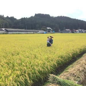 農薬・化学肥料・除草剤不使用 天日干し あきたこまち(玄米)5キロ