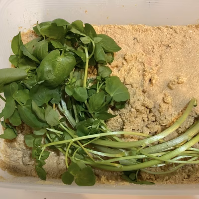 みんなの投稿の画像