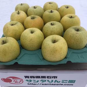 2024年産ラスト4箱！　王林(おうりん)　家庭用　農家直送青森県産りんご　