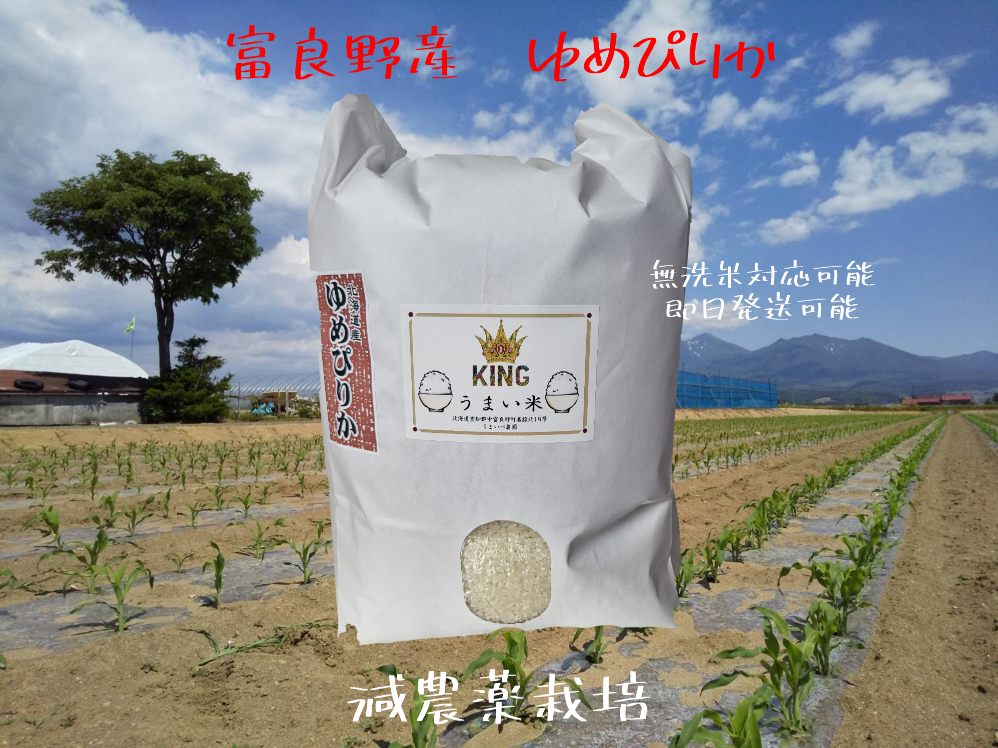 ゆめぴりかの産直通販・お取り寄せ商品｜ポケットマルシェ｜産地直送で
